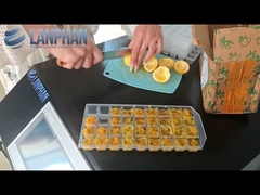 Trang chủ Máy sấy ủ lạnh ủ nước hoa quả Thiết bị lyophilizer