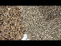 Máy phân loại màu gạo Hạt cà phê Hạt gạo Màu lúa mì Máy phân loại tự động