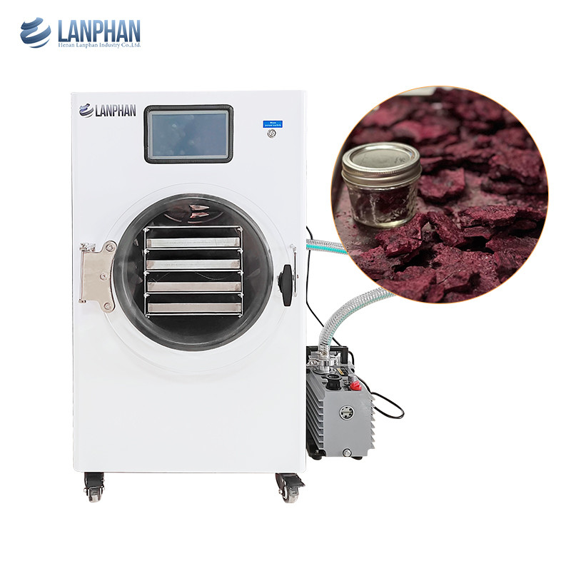 Lanphan Home Strawberry White Máy làm khô đông lạnh với bơm chân không hoặc không có bơm dầu