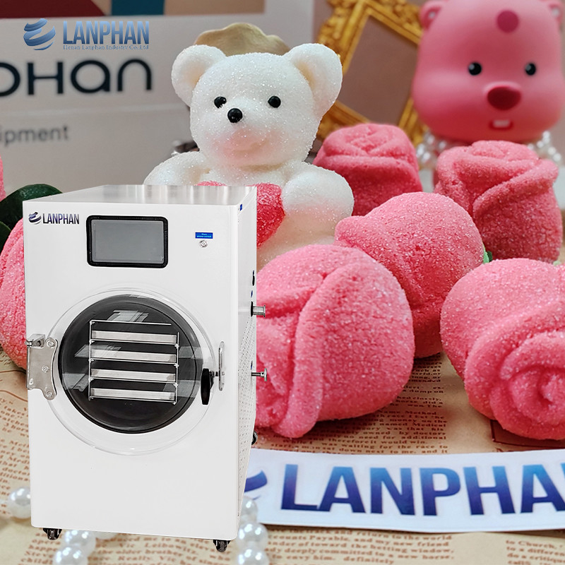 Máy làm khô lạnh thực phẩm Máy làm khô lạnh thương mại Máy hút bụi cho thực phẩm Quý vị trái cây