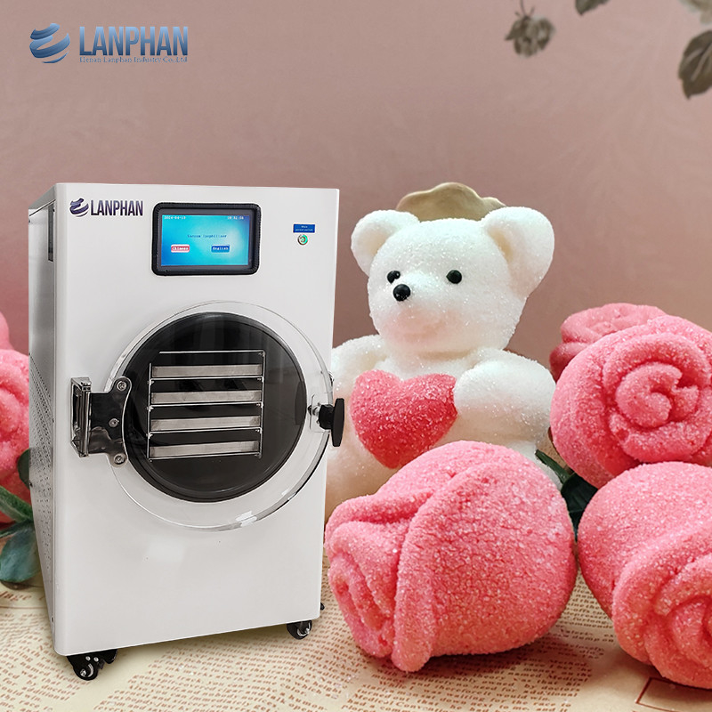 Máy làm đông lạnh thực phẩm khô với bơm chân không cho kẹo thủ công, sữa chua trộn