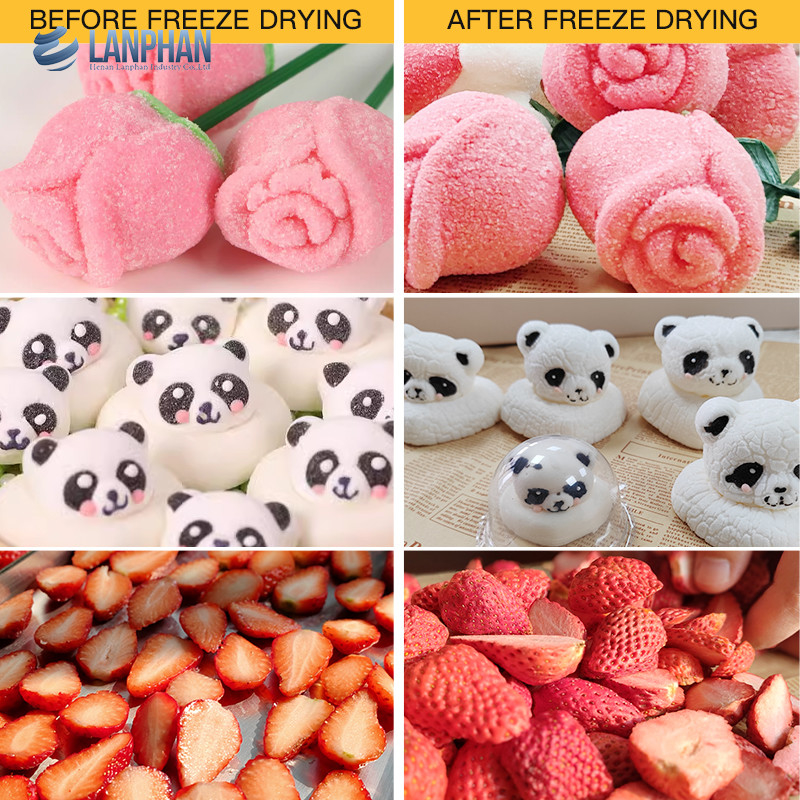 Lanphan 7-Tray Medium Home Freeze Dryer Đen Trắng Freeze Dry At Home cho thực phẩm trái cây