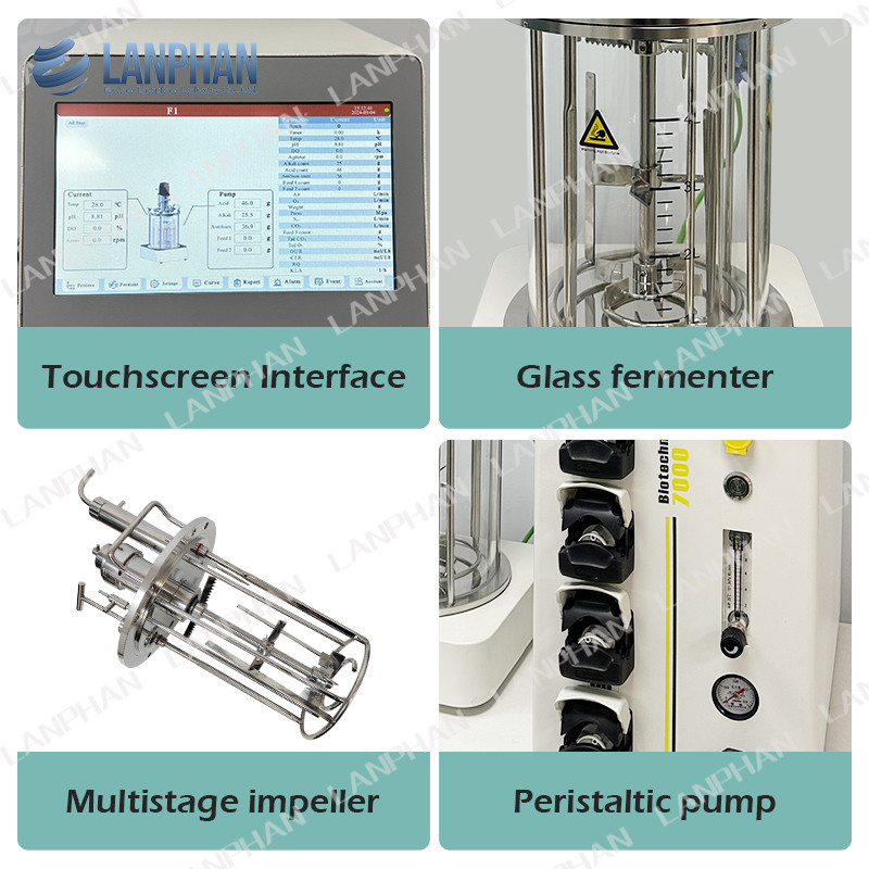 5l Phân tích tế bào động vật Bioreactor kính tự phân tách Bioreactor vi khuẩn Fermenter
