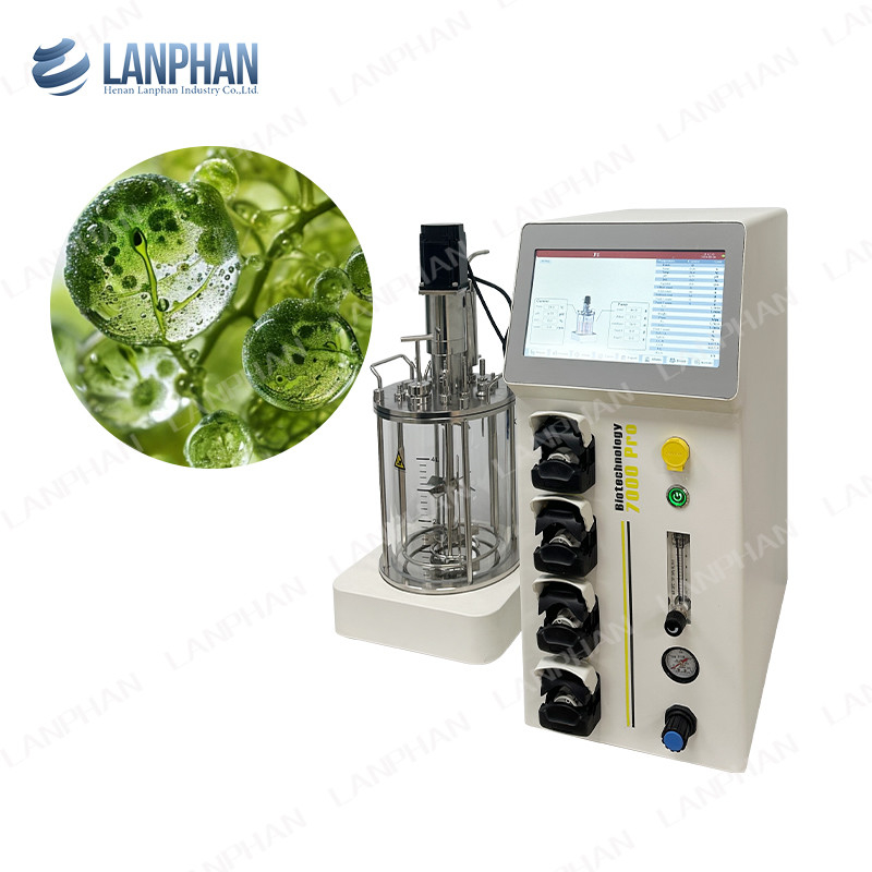 men Spirulina phòng thí nghiệm Glass Bioreactor Fermenter Bioreactor Bioreactor nuôi tế bào động vật Bioreactor 10L/5L
