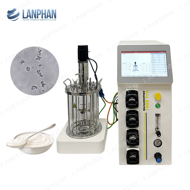 Máy phản ứng sinh học nhỏ của vi khuẩn / vi khuẩn 1l Máy phản ứng sinh học cho tảo