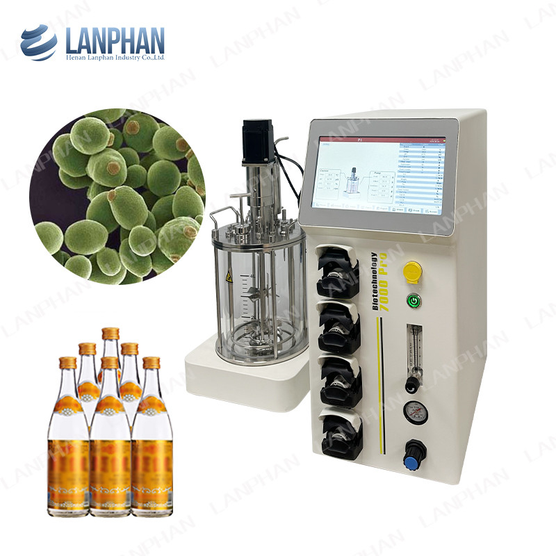 Phòng thí nghiệm Vắc-xin thủy tinh Fermentation Bioreactor cấp lô Benchtop Mixer Tank Bioreactor