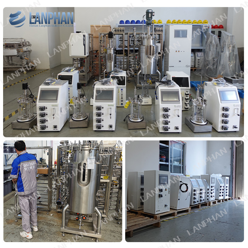 2l 5l 10l Tự động Spirulina men văn hóa thủy tinh Fermenter Bioreactor cho văn hóa tế bào