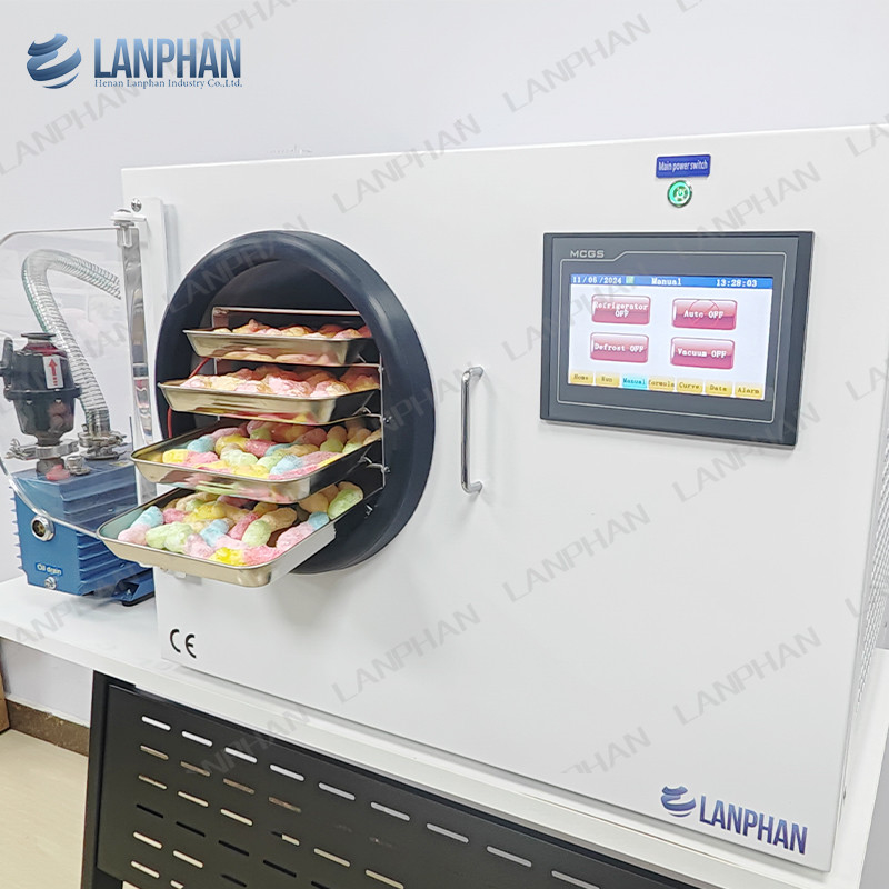 Máy sấy cà phê Máy sấy đông lạnh cho gia đình