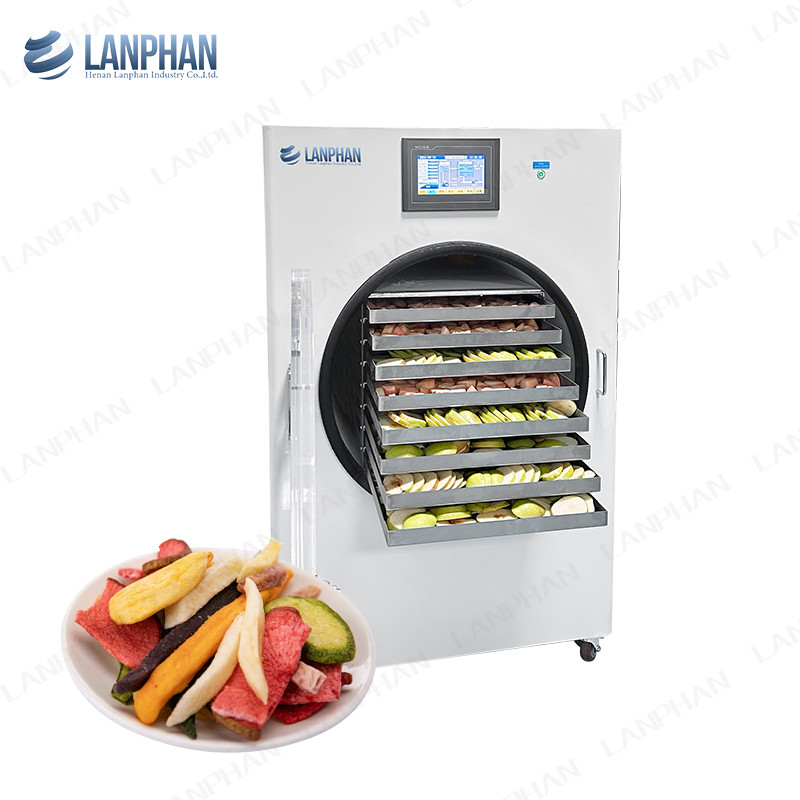 40kg Berries Fruit Vacuum Freeze Dryer Lyophilizer Candy Cucumber 8 Trays Freeze Dry Machine Máy làm khô