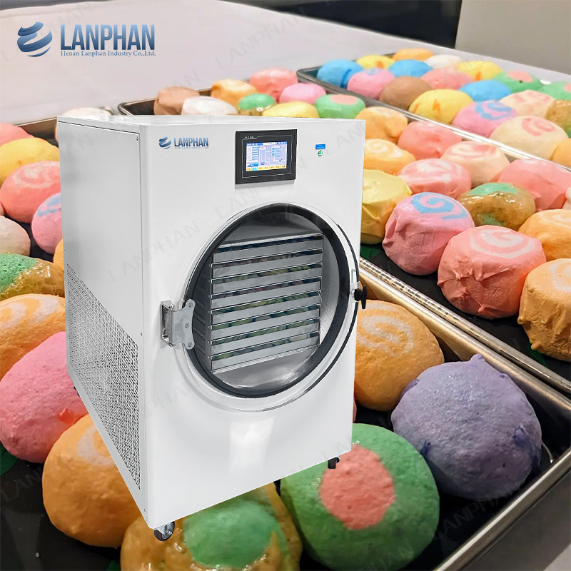 40kg Berries Fruit Vacuum Freeze Dryer Lyophilizer Candy Cucumber 8 Trays Freeze Dry Machine Máy làm khô