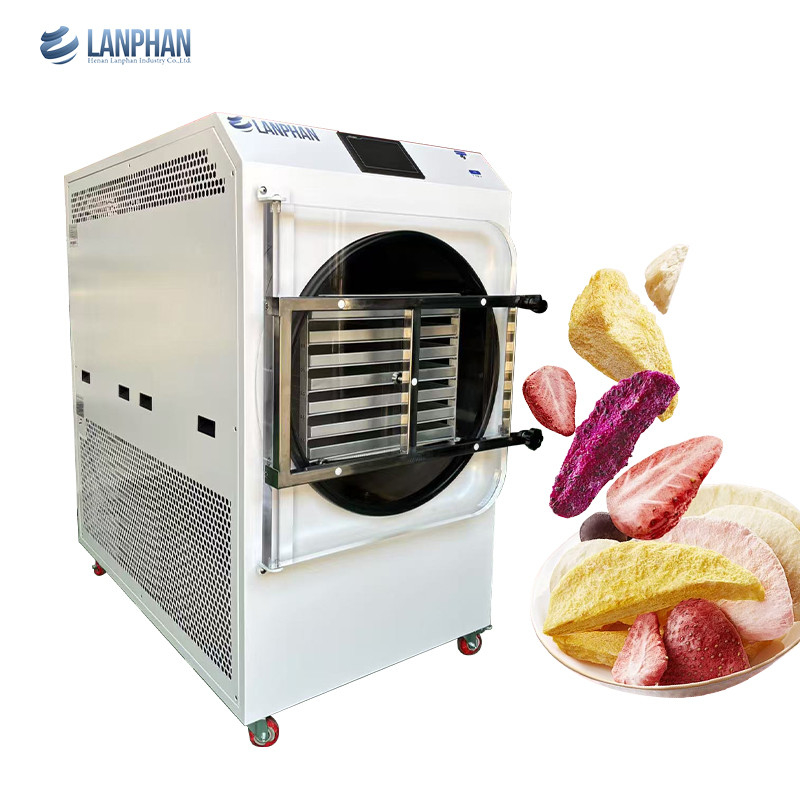 4m2 14 Thẻ lớn Ống hút bụi ủ lạnh ủ khô thực phẩm Nhà máy sản xuất trái cây và rau quả