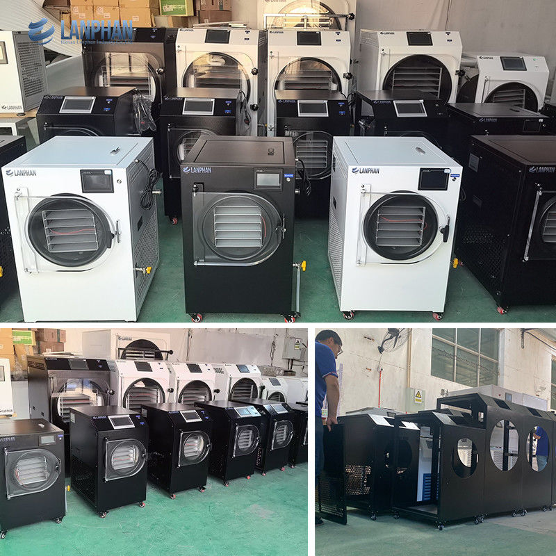 4m2 14 Thang lớn Máy sấy nước hút bụi thực phẩm trái cây Giá Máy sấy nước lạnh thực phẩm thương mại