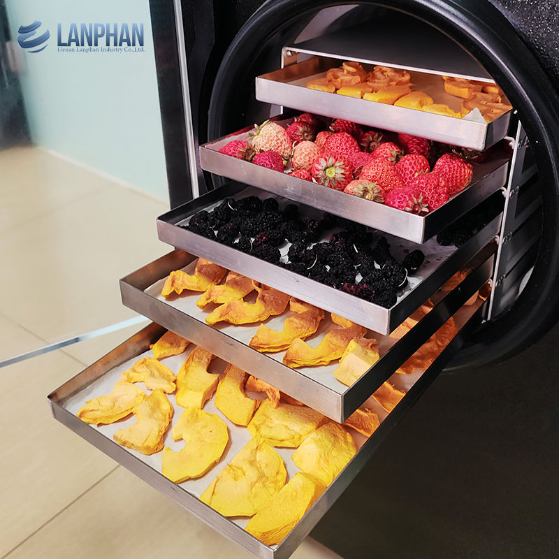 Máy sấy đông khô chân không Máy sấy đông khô cho thịt, thức ăn vật nuôi, trái cây