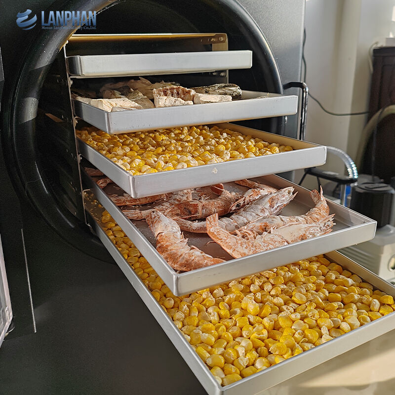 5-Tray Small Size Stainless Steel Freeze Dryer With Oil Pump For Candy Food (Đồ khử lạnh bằng thép không gỉ với bơm dầu cho đồ ăn kẹo)