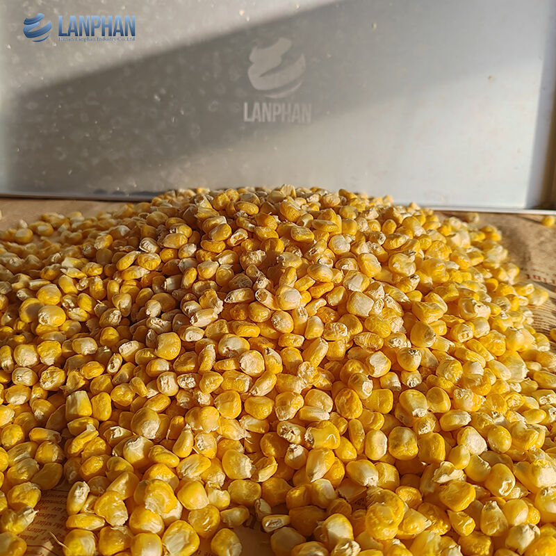 Máy sấy đông khô chân không tự động nhỏ 4-6Kg dùng cho thực phẩm, trái cây, thịt tại nhà