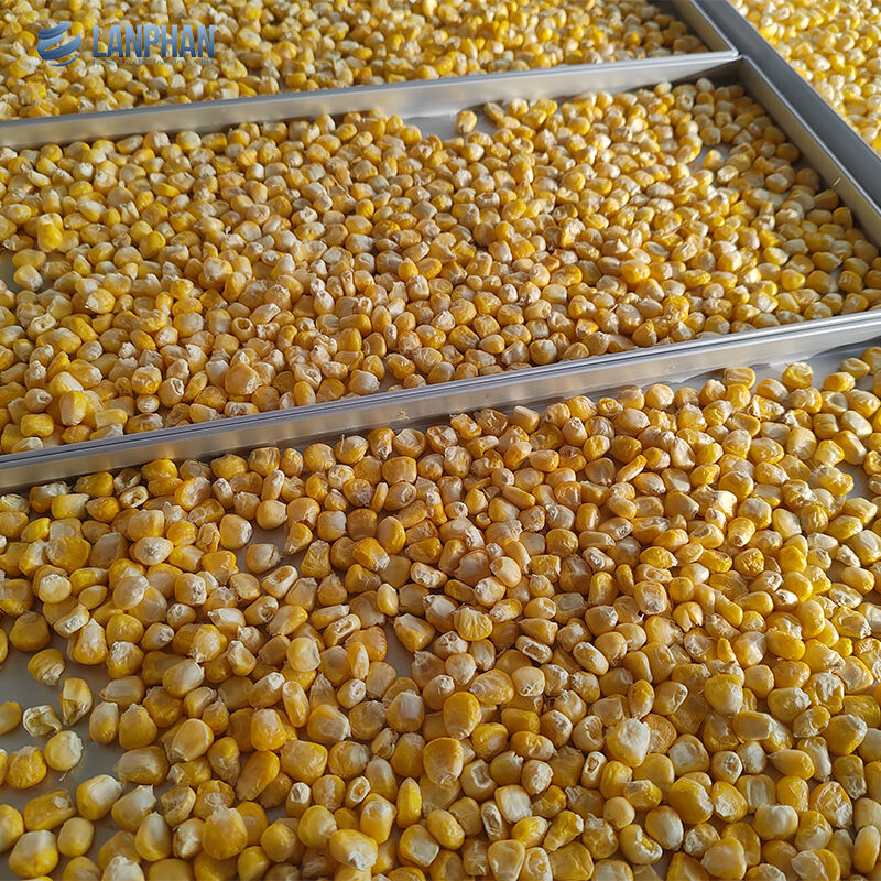 5-Tray Small Size Stainless Steel Freeze Dryer With Oil Pump For Candy Food (Đồ khử lạnh bằng thép không gỉ với bơm dầu cho đồ ăn kẹo)