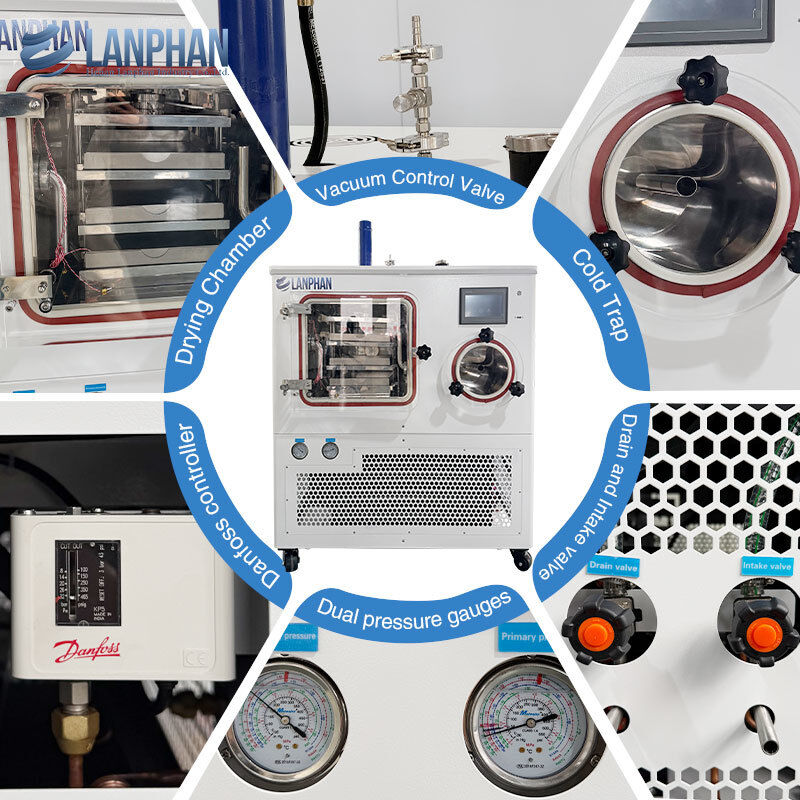 Máy sấy đông khô trong phòng thí nghiệm tùy chỉnh -75°C, 3 khay, máy sấy đông khô dược phẩm với bơm chân không