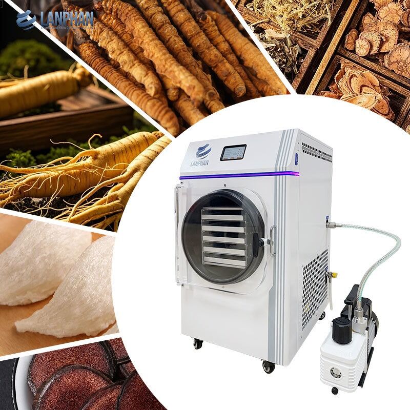 5-Tray Small Size Stainless Steel Freeze Dryer With Oil Pump For Candy Food (Đồ khử lạnh bằng thép không gỉ với bơm dầu cho đồ ăn kẹo)