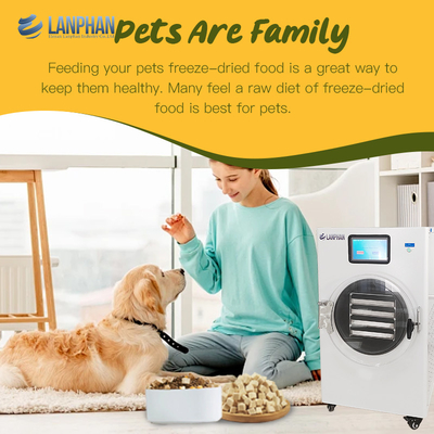 Máy làm khô lạnh thực phẩm Máy làm khô lạnh thương mại Máy hút bụi cho thực phẩm Quý vị trái cây