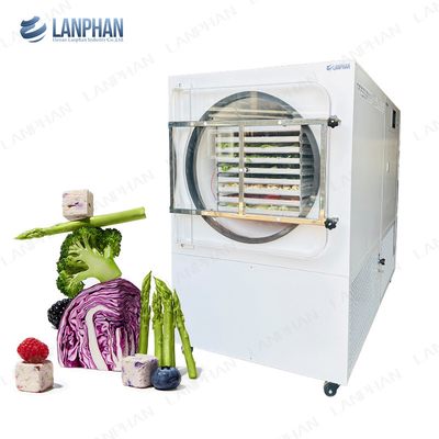 Lanphan máy sấy đông tự động lớn 5m2 máy sấy đông cho thịt trái cây rau quả