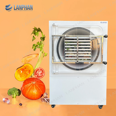5M2 9-Layer thương mại máy sấy đông lyophilizer trái cây chân không máy sấy đông