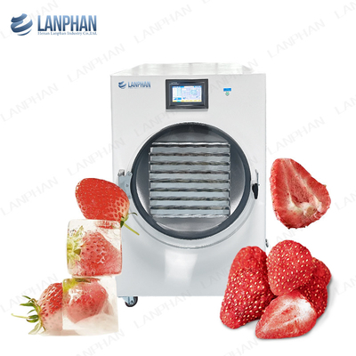 40kg Berries Fruit Vacuum Freeze Dryer Lyophilizer Candy Cucumber 8 Trays Freeze Dry Machine Máy làm khô