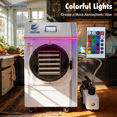 Nhà sử dụng bảo quản trái cây rau thịt thực phẩm nhỏ gọn tủ đông máy sấy